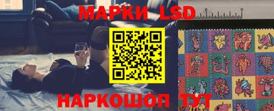 стаф Аргун