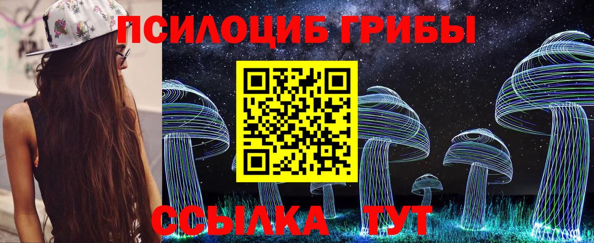 Псилоцибиновые грибы прущие грибы  Вход с VPN  Выкса  Псилоцибиновые грибы Psilocybe 